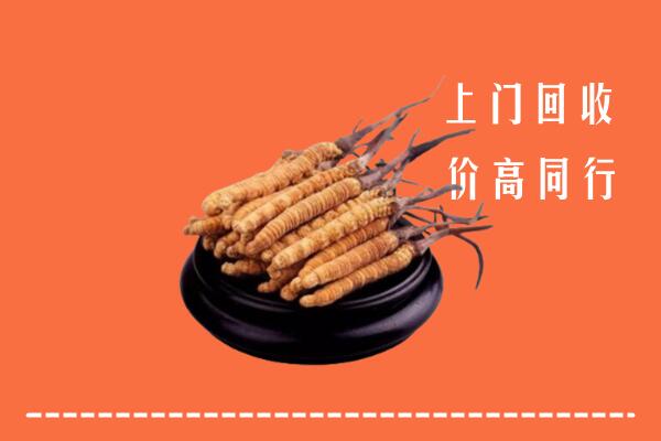高价求购：宝鸡市麟游县回收散虫草