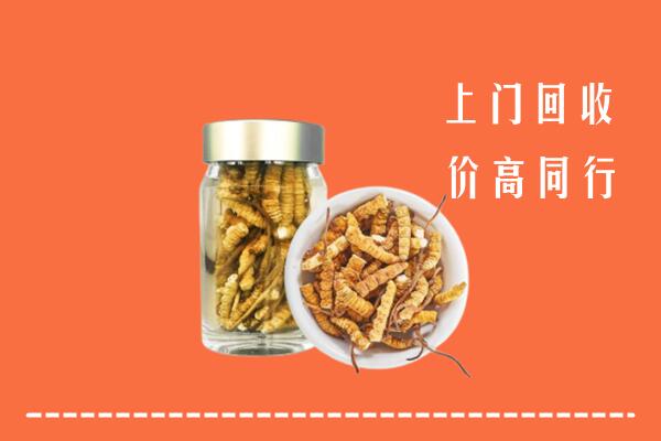 宝鸡市麟游县回收冬虫夏草